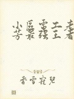 小区电工老周刘芳最强王者