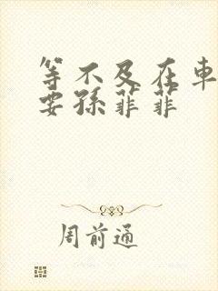 等不及在车里就要孙菲菲