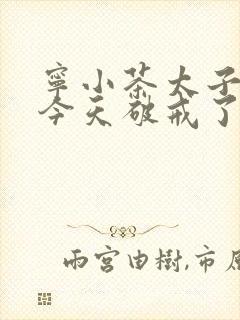 宁小茶太子殿下今天破戒了吗免费阅读