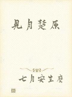 见月楚原