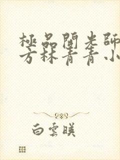 极品开光师李南方林青青小说叫