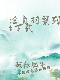 沧月羽系列txt下载