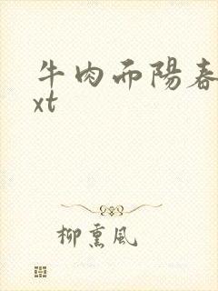 牛肉面阳春面txt