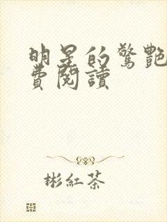 明星的惊艳史免费阅读