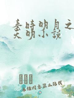 秦时明月之夜尽天明小说