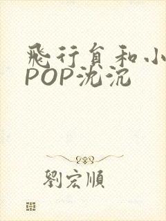 飞行员和小空乘POP沈沉