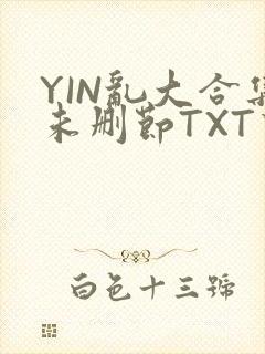 YIN乱大合集未删节TXT下载