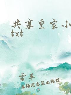 共享皇家小公主txt