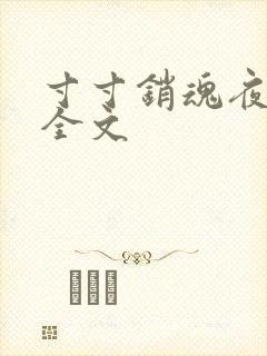 寸寸销魂夜春光全文