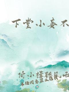 下堂小妾不好惹