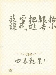 苏雪把腿抬起来让我进去小说