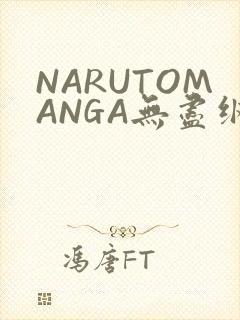 NARUTOMANGA无尽纲手