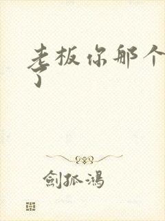 老板你那个太长了