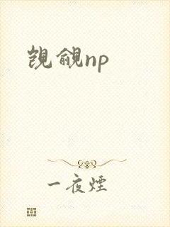 觊觎np