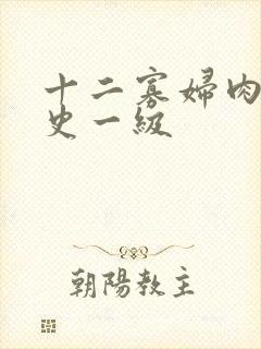 十二寡妇肉床艳史一级