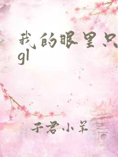 我的眼里只有你gl