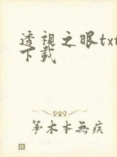 透视之眼txt下载