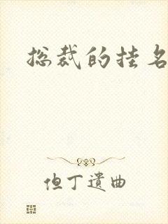 总裁的挂名娇妻