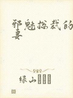 邪魅总裁的替身妻