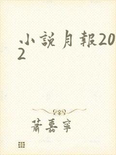 小说月报2012