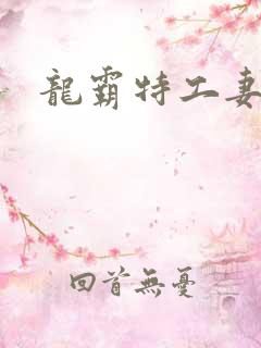 龙霸特工妻