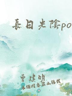 长日光阴po
