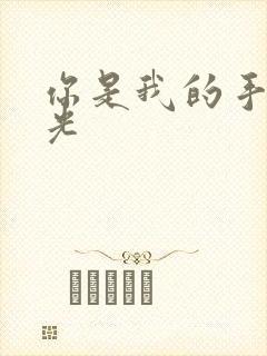 你是我的手冢国光