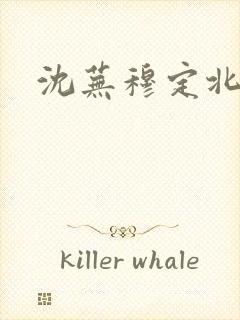 沈芜穆定北小说