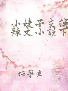 小婕子交换系列辣文小说下载