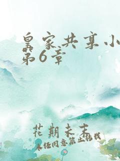 皇家共享小公主第6章