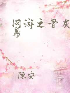 网游之骨灰级菜鸟