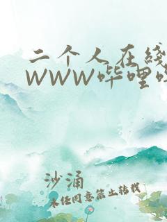 二个人在线观看WWW哔哩哔哩