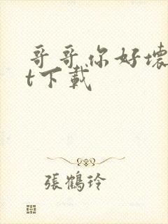 哥哥你好坏txt下载