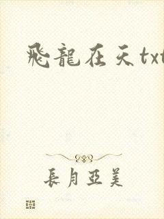 飞龙在天txt