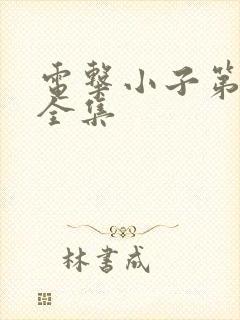 电击小子第二部全集