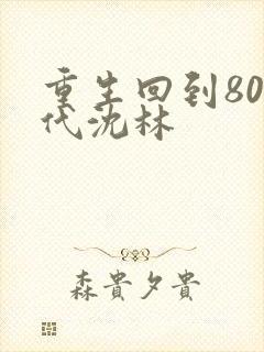 重生回到80年代沈林