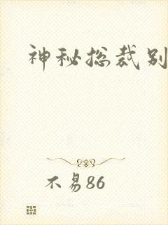 神秘总裁别玩我