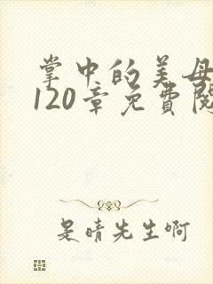 掌中的美母版主120章免费阅读