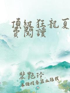 顶级狂龙夏天免费阅读