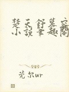 楚天舒慕容江月小说笔趣阁