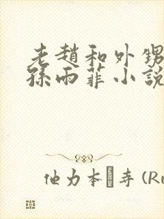 老赵和外甥媳妇孙雨菲小说