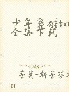 少年枭雄txt全集下载