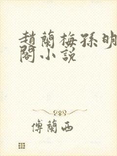 赵兰梅孙明笔趣阁小说