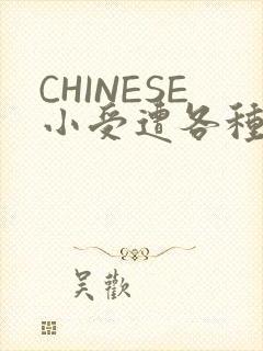 CHINESE小受遭各种打桩