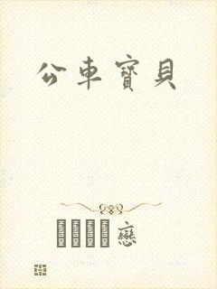 公车宝贝