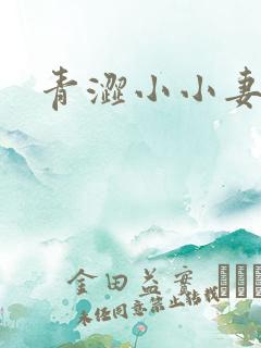 青涩小小妻