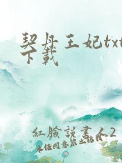 契丹王妃txt下载