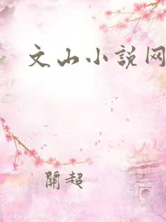 文山小说网