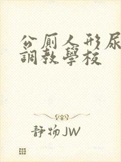 公厕人形尿便器调教学校