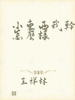 小东西我干的你怎么样